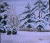 Paesaggio invernale n