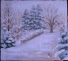 Paesaggio invernale n