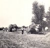 contadini3